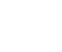 IG Logo